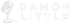 Damon Little